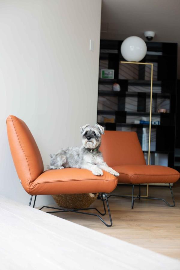 Andaz Condesa City, By Hyatt Mexiko-Stadt